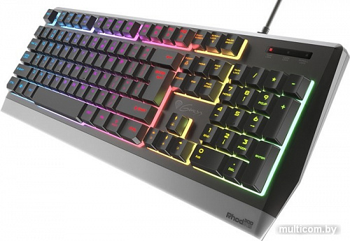 Клавиатура Genesis Rhod 300 RGB