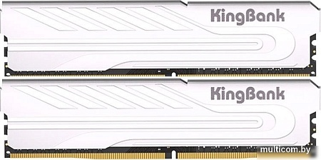 Оперативная память KingBank KJXS 2x8ГБ DDR4 3200 МГц K5.01.FP049C9201
