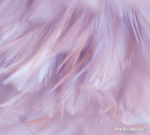 Фотообои Vimala Перья 1 270x300