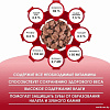 Консервированный корм для кошек Kissa С говядиной в соусе (28x75г)