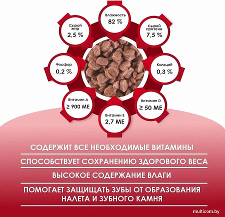 Консервированный корм для кошек Kissa С говядиной в соусе (28x75г)