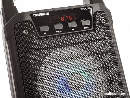 Беспроводная колонка TELEFUNKEN TF-PS1229B