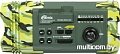 Радиоприемник Ritmix RPR-707