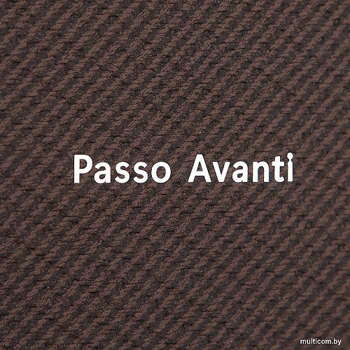 Passo Avanti 758-A5564-DBW (коричневый)