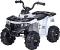 Электроквадроцикл Farfello PB6215 (белый)