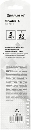 Набор магнитов BRAUBERG 231730 (5шт)