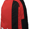 Puma TeamGOAL 23 07685401 (черный/красный)