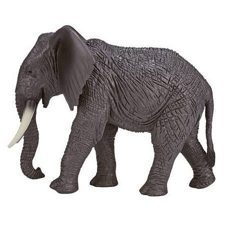Фигурка Konik Африканский слон Самка AMW2090