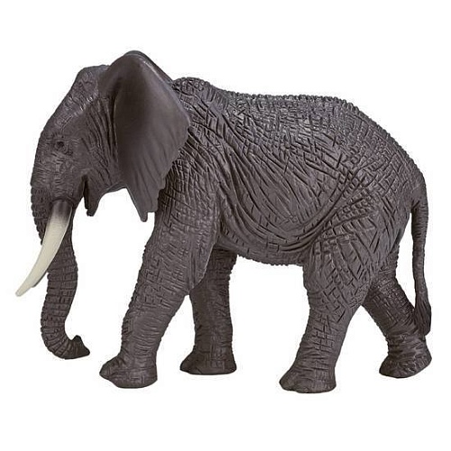 Фигурка Konik Африканский слон Самка AMW2090