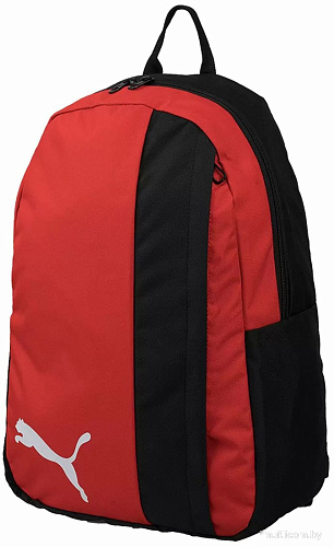 Puma TeamGOAL 23 07685401 (черный/красный)