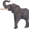 Фигурка Konik Африканский слон Самец AMW2003