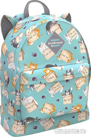 Рюкзак Erich Krause EasyLine Animals 17L Cat&Box