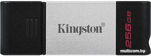 USB Flash Kingston DataTraveler 80 256GB