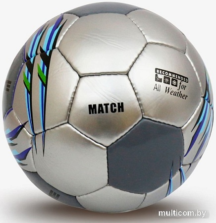 Футбольный мяч Ingame Match IFB-112 (5 размер, серый)