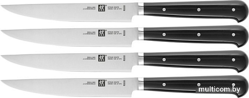 Набор ножей Zwilling 39029-000 (4 шт)