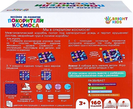 Развивающая игра Рыжий кот Головоломка Веселое IQ-развитие. Покорители космоса ИК-8715