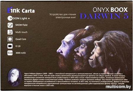 Электронная книга Onyx BOOX Darwin 5 (серый)
