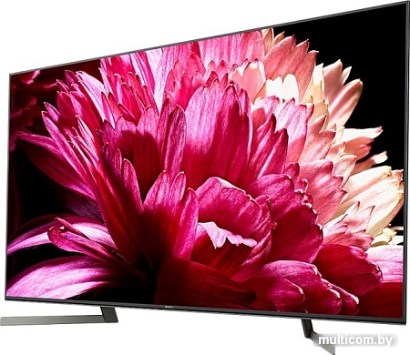 Телевизор Sony KD-65XG9505