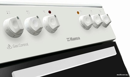 Кухонная плита Hansa FCMW56069H