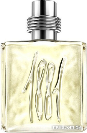 Туалетная вода Cerruti 1881 for Men EdT (100 мл)