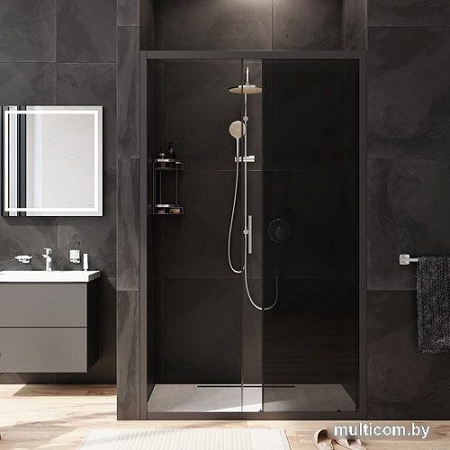 Душевая дверь AM.PM Gem Solo W90G-120-1-195BG