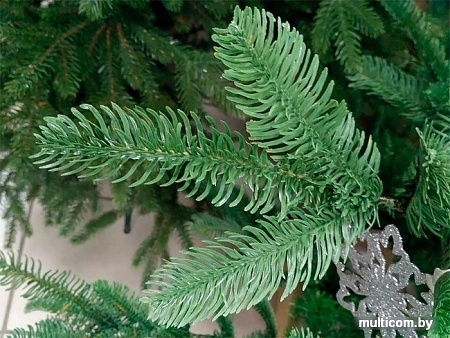 Ель GreenTerra Нобилис 2.4 м