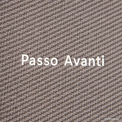 Passo Avanti 758-96891-GRY (серый)