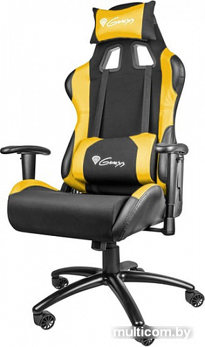Кресло Genesis Nitro 550 (черный/голубой)