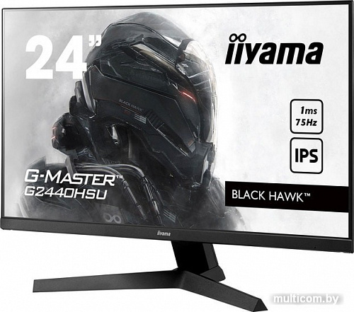 Монитор Iiyama G-Master G2440HSU-B1