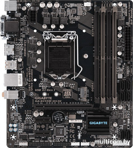 Материнская плата Gigabyte GA-B250M-DS3H (rev. 1.0)