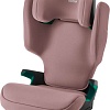 Детское автокресло Britax Romer Discovery Plus 2 (dusty rose)