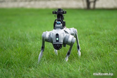 Умный робот-друг Unitree Go2