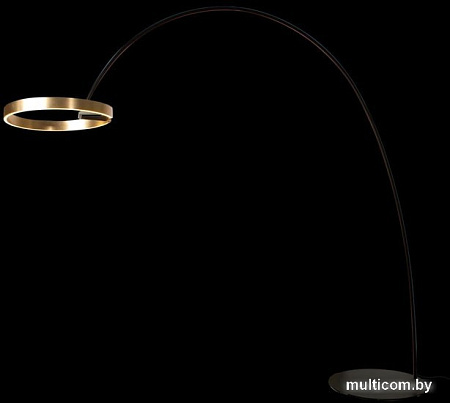 Торшер LOFT IT Ring 10027