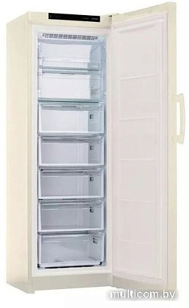Морозильник Indesit DFZ 5175 E