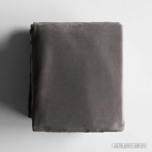 Комплект штор Pasionaria Бархат 290x270 (серый)