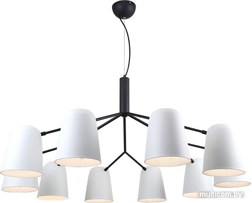 Подвесная люстра F-Promo 2762-10P