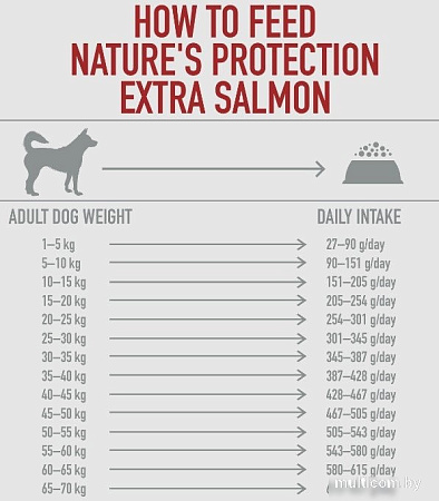 Сухой корм для собак Nature's Protection Extra Salmon Adult All Breeds NPS45751 2 кг