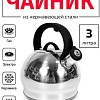 Чайник со свистком TimA WTK250