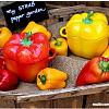 Горшочек Staub Ceramic 40500-325