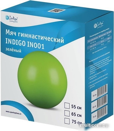 Мяч Indigo IN001 55 см (зеленый)