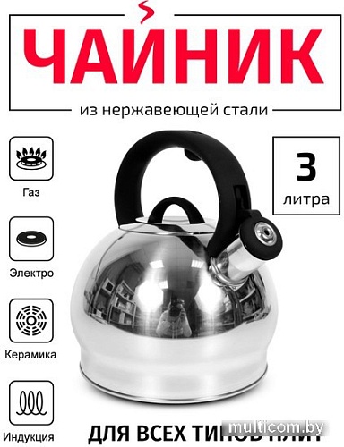 Чайник со свистком TimA WTK250