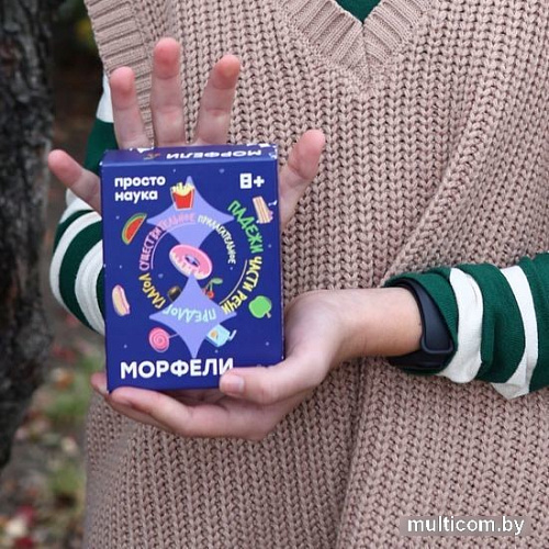 Детская настольная игра Простые правила Морфели