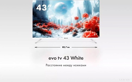 Телевизор Evo TV 43 White TD0051750RU