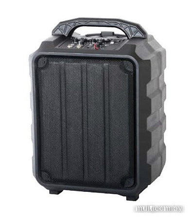Колонка для вечеринок Leem PR-6