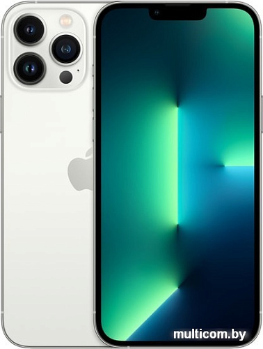 Смартфон Apple iPhone 13 Pro Max 128GB (серебристый)