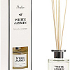 Вещицы White Jasmine ARD-11 (100 мл)