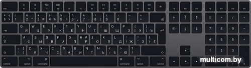Клавиатура Apple Magic Keyboard с цифровой панелью (серый космос)