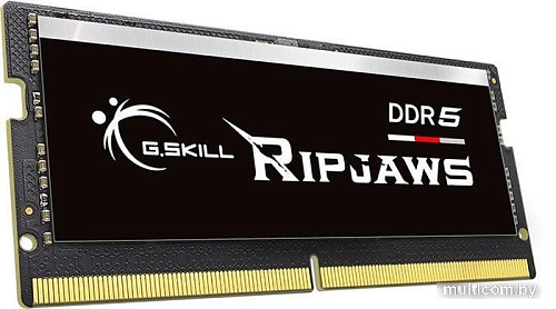 Оперативная память G.Skill Ripjaws 32ГБ DDR5 SODIMM 5600МГц F5-5600S4645A32GX1-RS