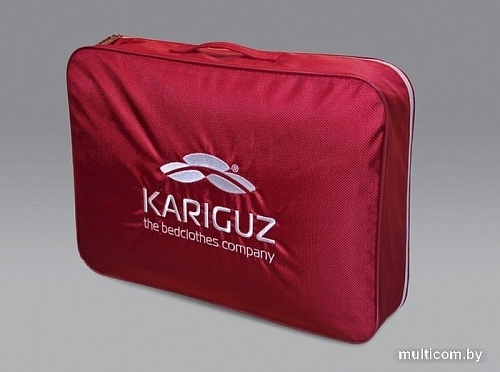 Спальная подушка Kariguz Био Бамбук ББм10-5 (68x68 см)