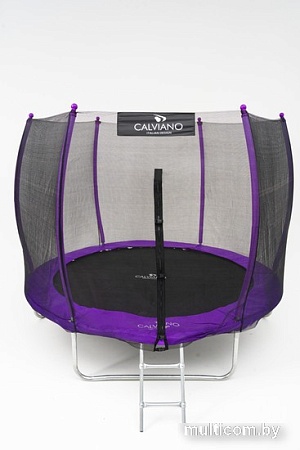 Батут Calviano Outside Master Purple 312 см - 10ft (внешняя сетка, с лестницей)
